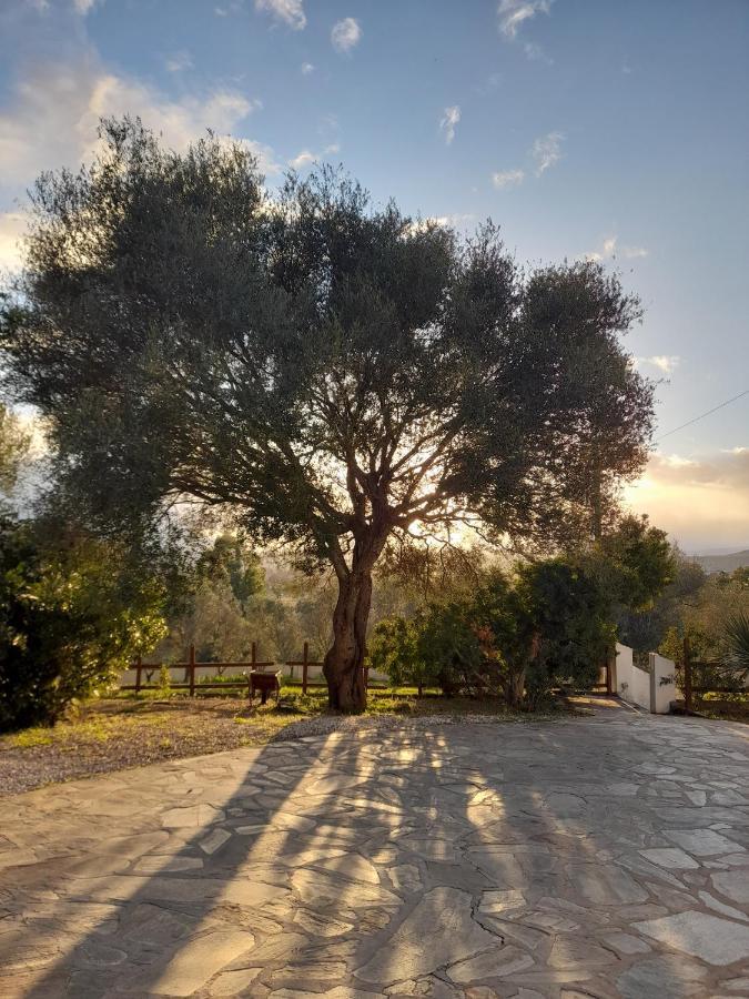 Agriturismo Palas De Serra Country Resort Onifai المظهر الخارجي الصورة