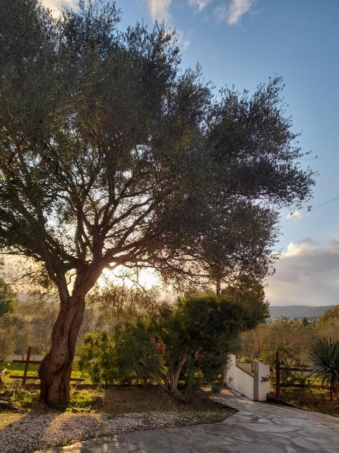 Agriturismo Palas De Serra Country Resort Onifai المظهر الخارجي الصورة